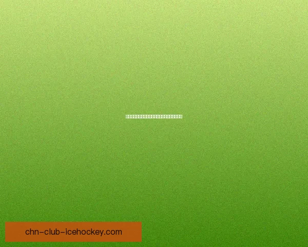 冒险村物语职业选择全解析助你打造专属冒险之路